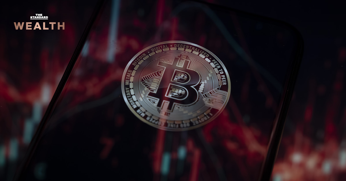 กราฟราคา Bitcoin ที่กำลังร่วงลงอย่างรุนแรง พร้อมกับข้อความเตือนจาก Michael Burry