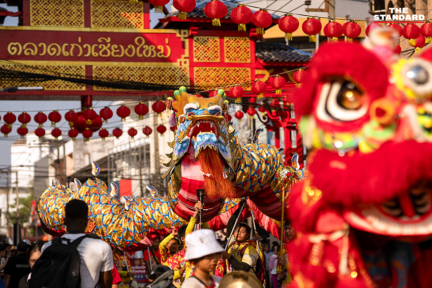 ขบวนแห่มังกรและสิงโตในงานเชียงใหม่ไชน่าทาวน์ 2026 บรรยากาศคึกคักที่กาดหลวง 7