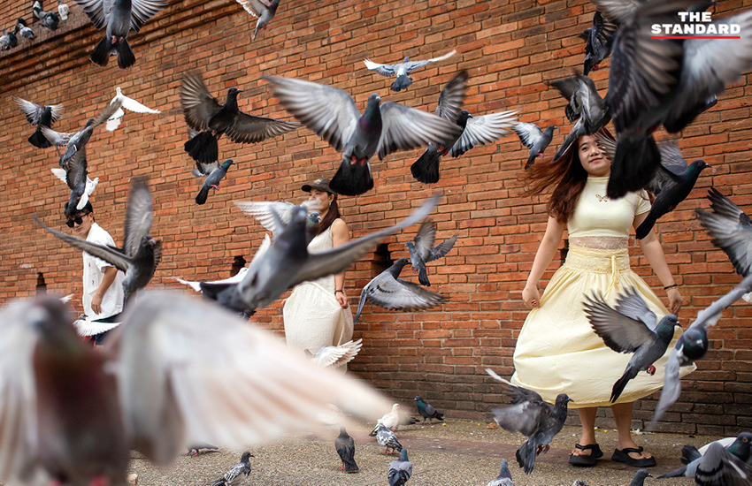 เจ้าหน้าที่ตำรวจเพิ่มกำลังดูแลความปลอดภัยนักท่องเที่ยวบริเวณลานประตูท่าแพ จังหวัดเชียงใหม่ 1