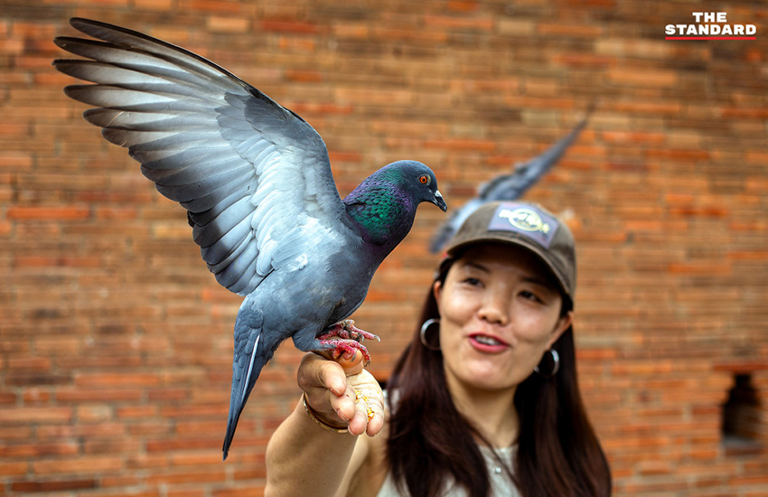 เจ้าหน้าที่ตำรวจเพิ่มกำลังดูแลความปลอดภัยนักท่องเที่ยวบริเวณลานประตูท่าแพ จังหวัดเชียงใหม่ 6