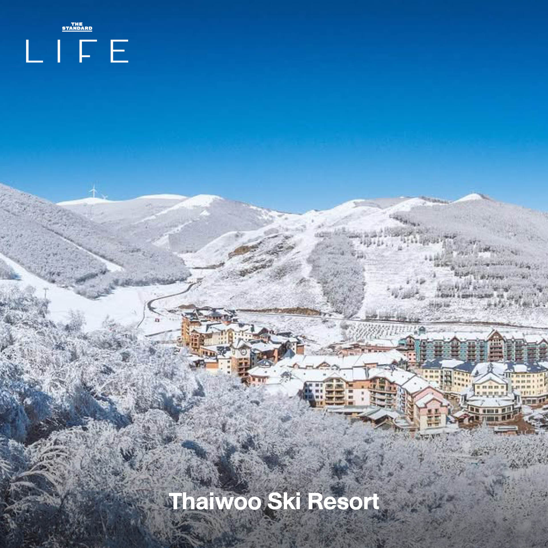 ภาพบรรยากาศลานสกี 12 แห่งทั่วประเทศจีน ตั้งแต่ลานสำหรับมือใหม่ไปจนถึงสายโหด 3