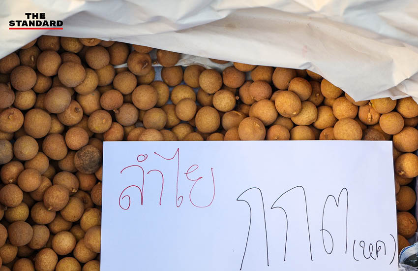 กลุ่มพลเมืองอิสระรวมตัวประท้วงหน้าหอศิลป์ฯ จัดกิจกรรม 'กินก๋วยเตี๋ยว' พร้อมชูป้ายเรียกร้องให้ กกต. นับคะแนนเลือกตั้งใหม่ทั้งประเทศ 10