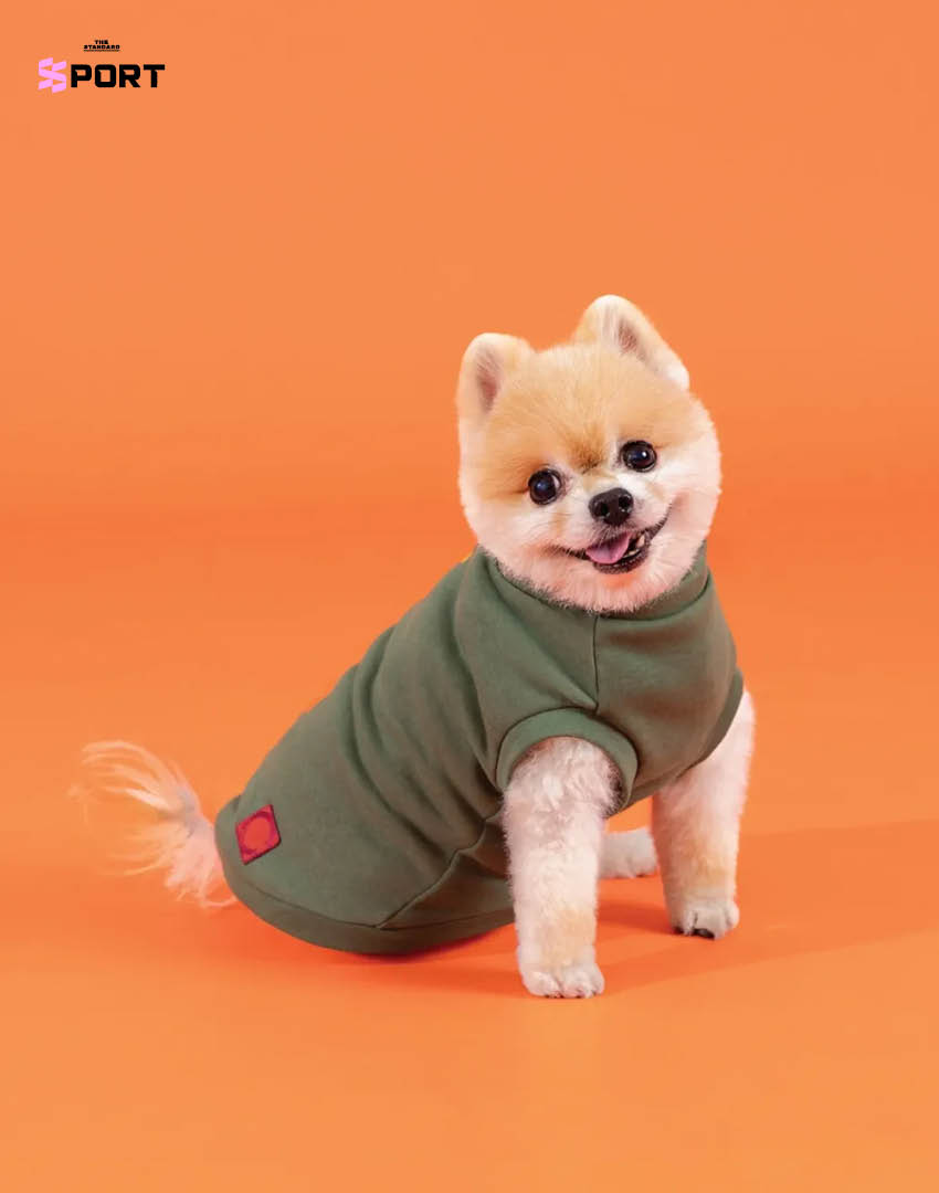 สัตว์เลี้ยงสวมแฟชั่นตรุษจีนของแบรนด์ CLOT 5