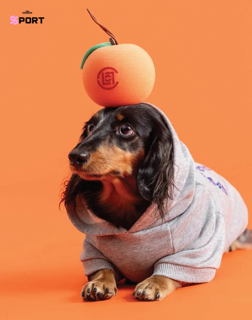 สัตว์เลี้ยงสวมแฟชั่นตรุษจีนของแบรนด์ CLOT 6