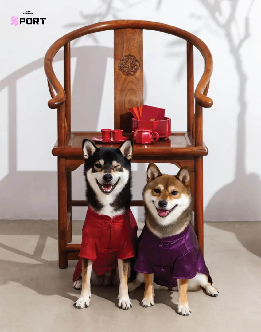 สัตว์เลี้ยงสวมแฟชั่นตรุษจีนของแบรนด์ CLOT 7