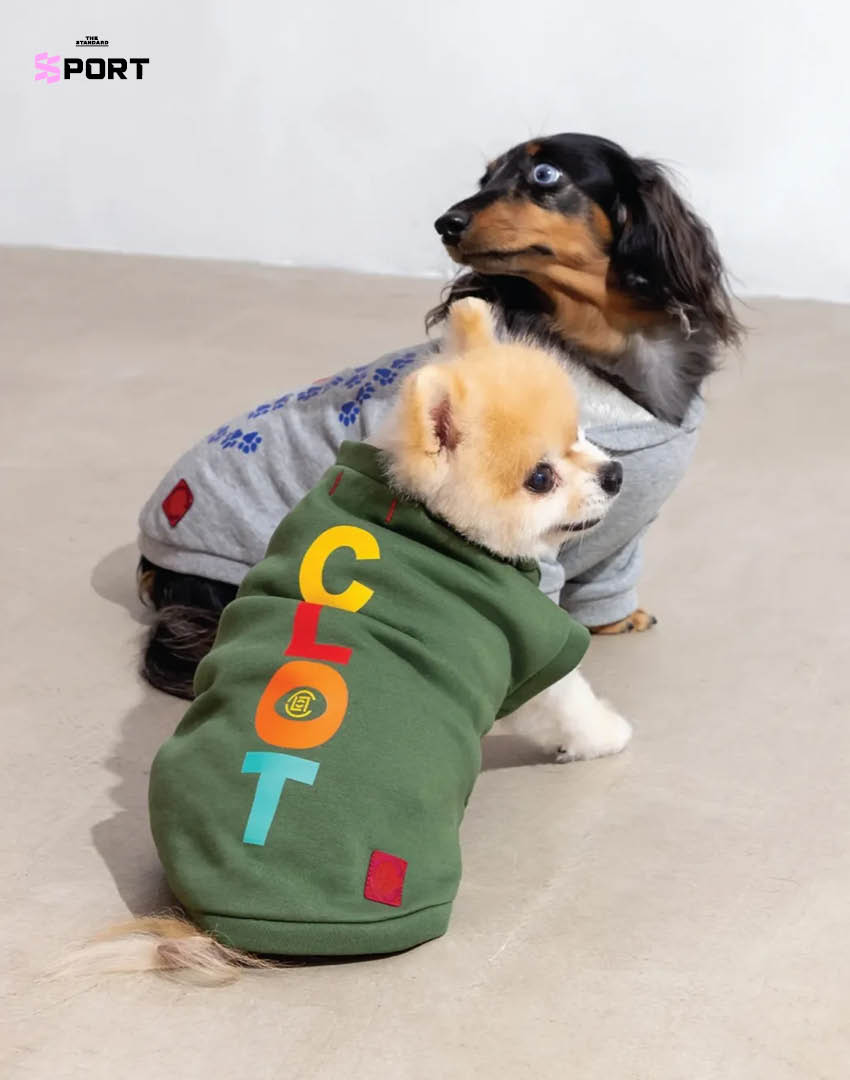 สัตว์เลี้ยงสวมแฟชั่นตรุษจีนของแบรนด์ CLOT 9