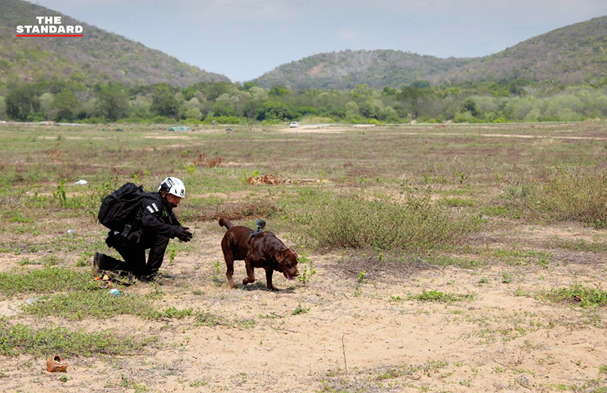 ภาพ MI-6 สุนัขทรงเลี้ยง และหน่วย K9 USAR Thailand ซ้อมภารกิจค้นหา-กู้ภัยสึนามิจำลอง ในการฝึก AMPHIBEX Cobra Gold 2026 พร้อมยานเกราะสะเทินน้ำสะเทินบก 11