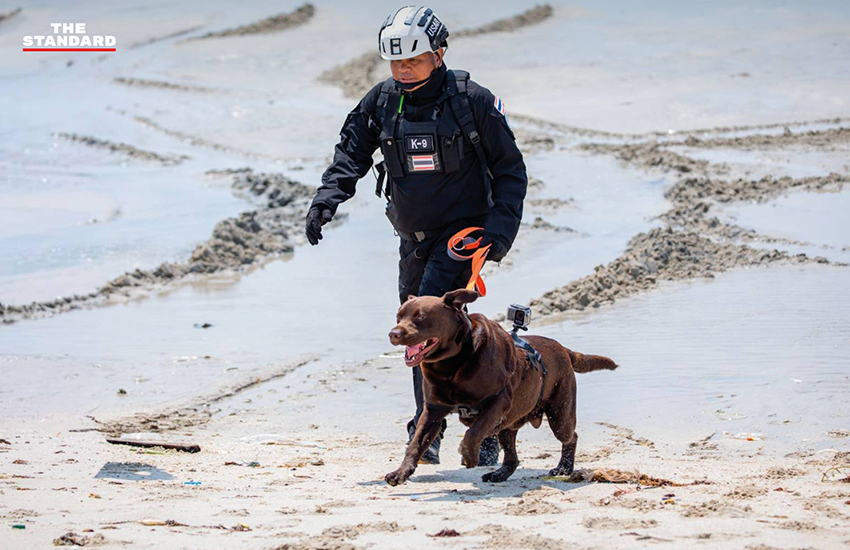 ภาพ MI-6 สุนัขทรงเลี้ยง และหน่วย K9 USAR Thailand ซ้อมภารกิจค้นหา-กู้ภัยสึนามิจำลอง ในการฝึก AMPHIBEX Cobra Gold 2026 พร้อมยานเกราะสะเทินน้ำสะเทินบก 3