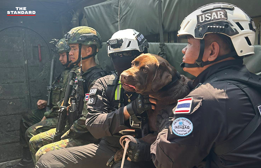 ภาพ MI-6 สุนัขทรงเลี้ยง และหน่วย K9 USAR Thailand ซ้อมภารกิจค้นหา-กู้ภัยสึนามิจำลอง ในการฝึก AMPHIBEX Cobra Gold 2026 พร้อมยานเกราะสะเทินน้ำสะเทินบก 4