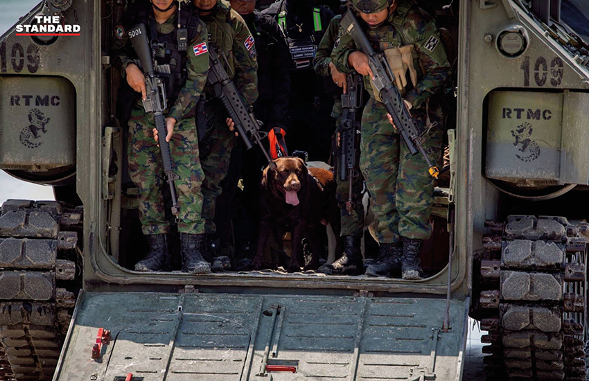 ภาพ MI-6 สุนัขทรงเลี้ยง และหน่วย K9 USAR Thailand ซ้อมภารกิจค้นหา-กู้ภัยสึนามิจำลอง ในการฝึก AMPHIBEX Cobra Gold 2026 พร้อมยานเกราะสะเทินน้ำสะเทินบก 7
