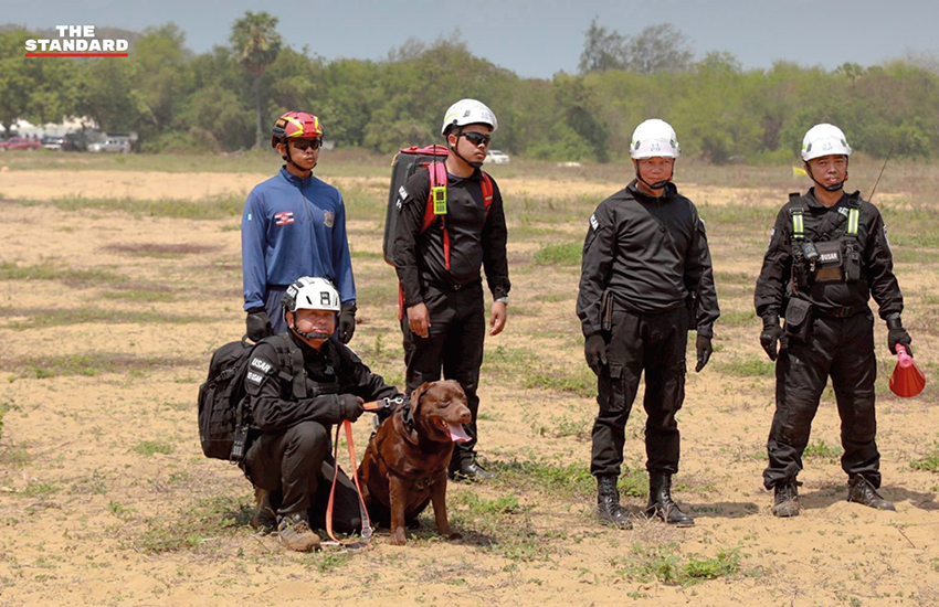 ภาพ MI-6 สุนัขทรงเลี้ยง และหน่วย K9 USAR Thailand ซ้อมภารกิจค้นหา-กู้ภัยสึนามิจำลอง ในการฝึก AMPHIBEX Cobra Gold 2026 พร้อมยานเกราะสะเทินน้ำสะเทินบก 9