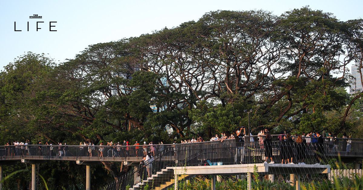 ใครมีความเห็น อย่าเงียบไว้! กทม. ชวนร่วมถก ‘ระเบียบการใช้สวน’ ครั้งแรกในรอบ 22 ปี