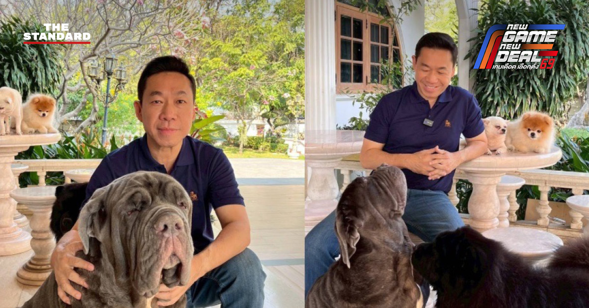 โลโก้พรรคปวงชนไทย