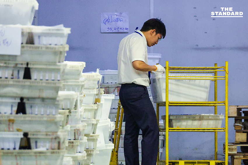 ภาพการเปิดศูนย์คัดแยกบัตรเลือกตั้งล่วงหน้า-นอกราชอาณาจักร โดย คณะกรรมการการเลือกตั้ง (กกต.) และหน่วยงานที่เกี่ยวข้อง โดยมี แสวง บุญมี เลขาธิการ กกต. ร่วมตรวจสอบและให้ความมั่นใจในความโปร่งใส 2