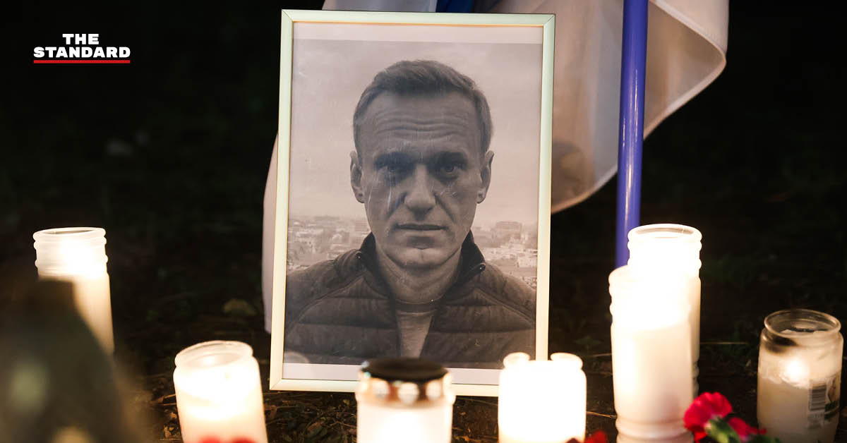 ภาพกบลูกดอกพิษสีส้มกำลังเกาะอยู่บนใบไม้เขียว