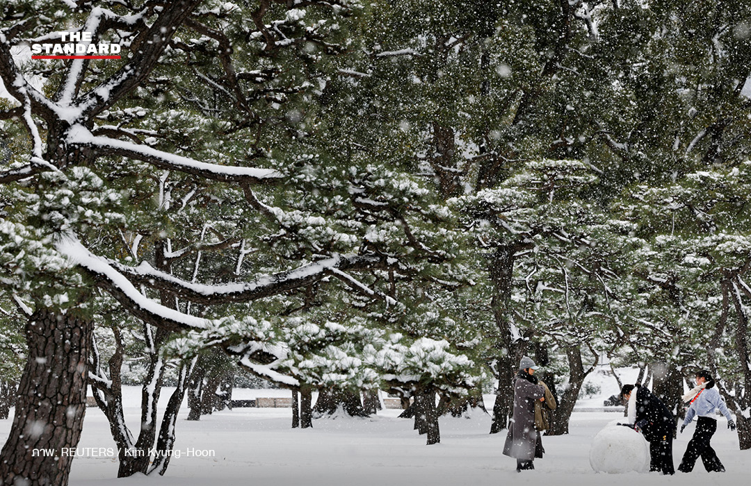 ชาวญี่ปุ่น แห่ใช้สิทธิเลือกตั้ง สส. ท่ามกลางหิมะตกหนักเป็นประวัติการณ์ 3