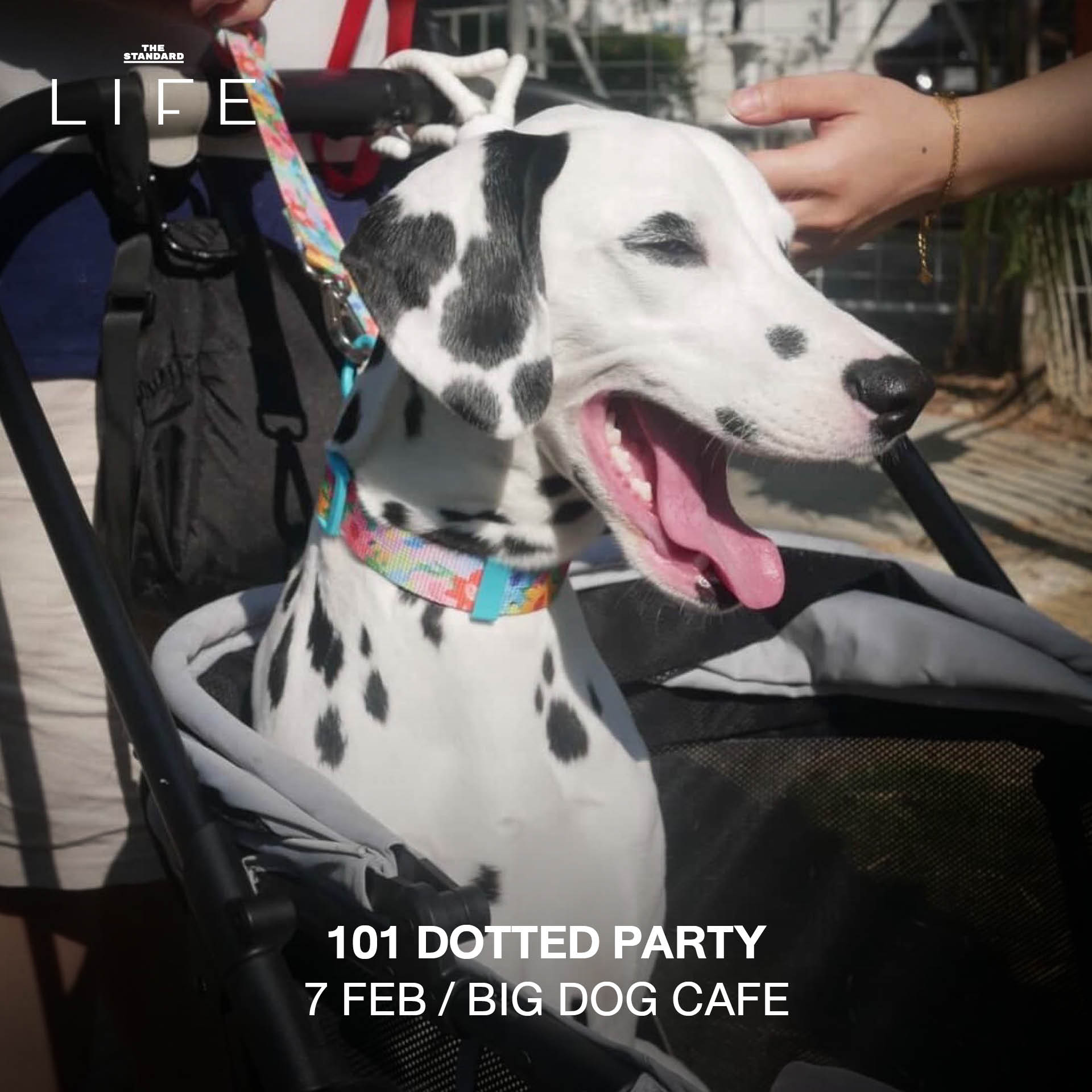 ภาพบรรยากาศรวมกิจกรรมไลฟ์สไตล์น่าสนใจประจำสัปดาห์ เช่น ตลาดหนังสือ อีเวนต์ศิลปะ และคลาสผ่อนคลาย 3