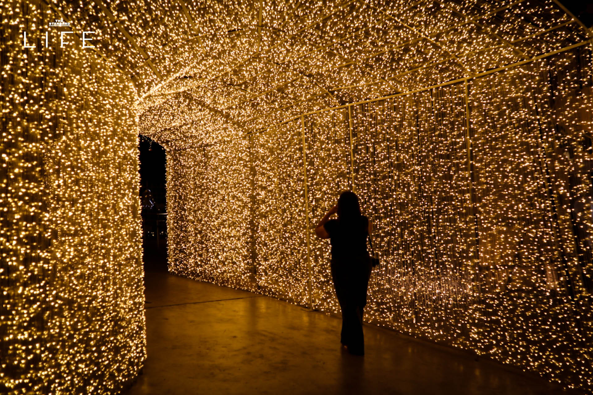 ภาพบรรยากาศงานไฟทุ่งดอกไม้และนิทรรศการแสงสีสุดตระการตาที่ MEA SPARK พิพิธภัณฑ์การไฟฟ้าไทย 1