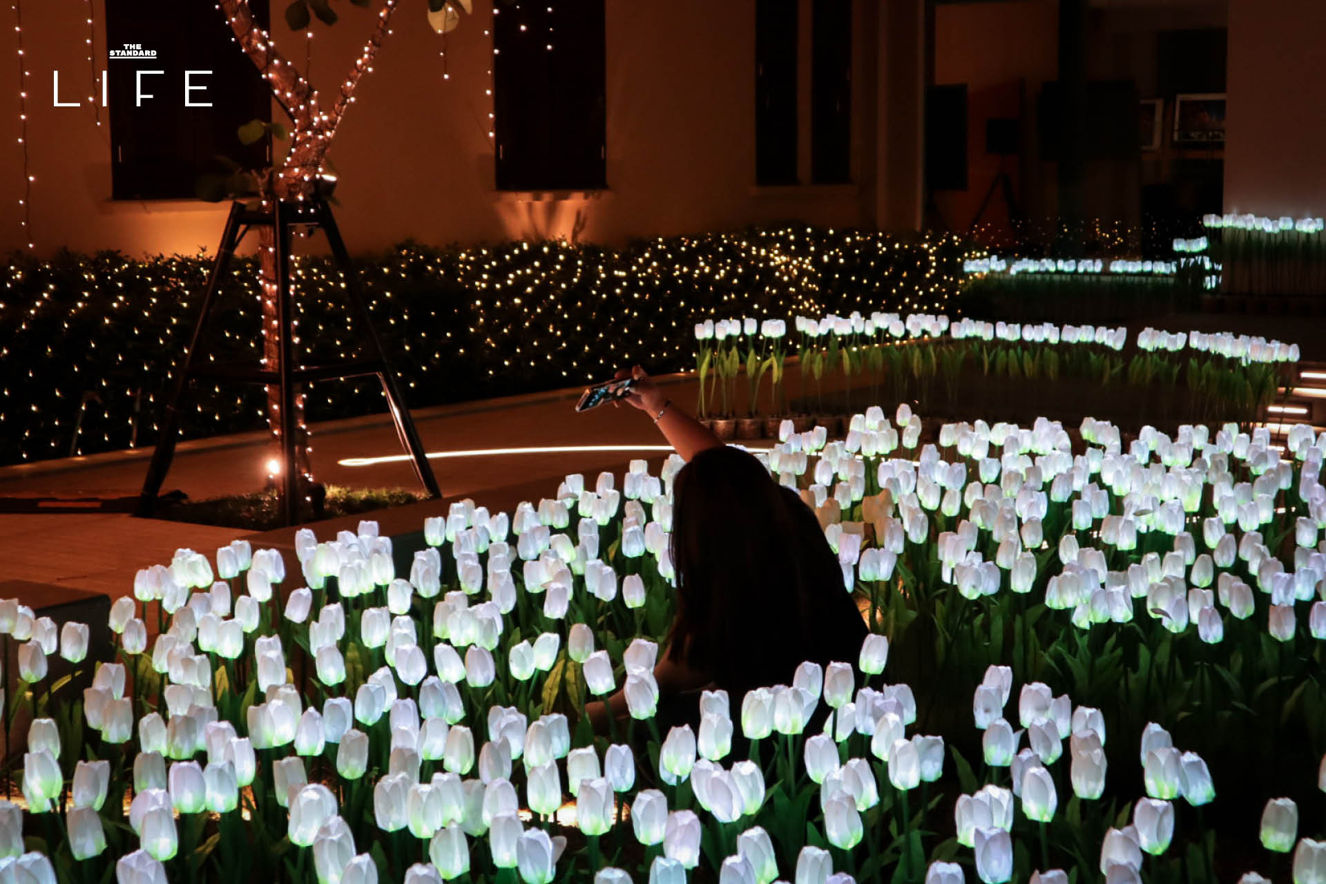 ภาพบรรยากาศงานไฟทุ่งดอกไม้และนิทรรศการแสงสีสุดตระการตาที่ MEA SPARK พิพิธภัณฑ์การไฟฟ้าไทย 4