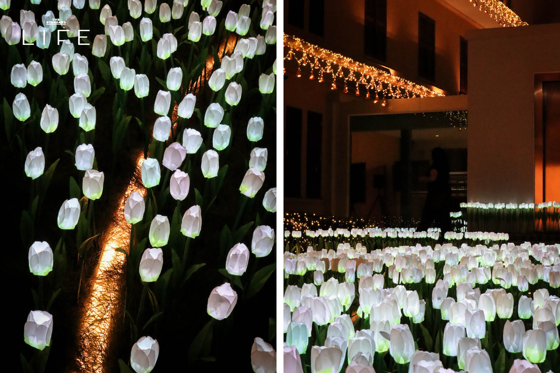 ภาพบรรยากาศงานไฟทุ่งดอกไม้และนิทรรศการแสงสีสุดตระการตาที่ MEA SPARK พิพิธภัณฑ์การไฟฟ้าไทย 5