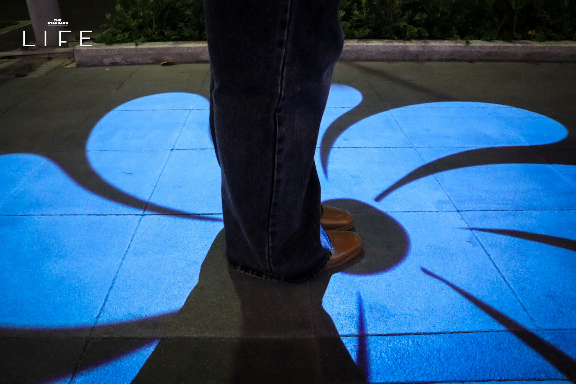 ภาพบรรยากาศงานไฟทุ่งดอกไม้และนิทรรศการแสงสีสุดตระการตาที่ MEA SPARK พิพิธภัณฑ์การไฟฟ้าไทย 9