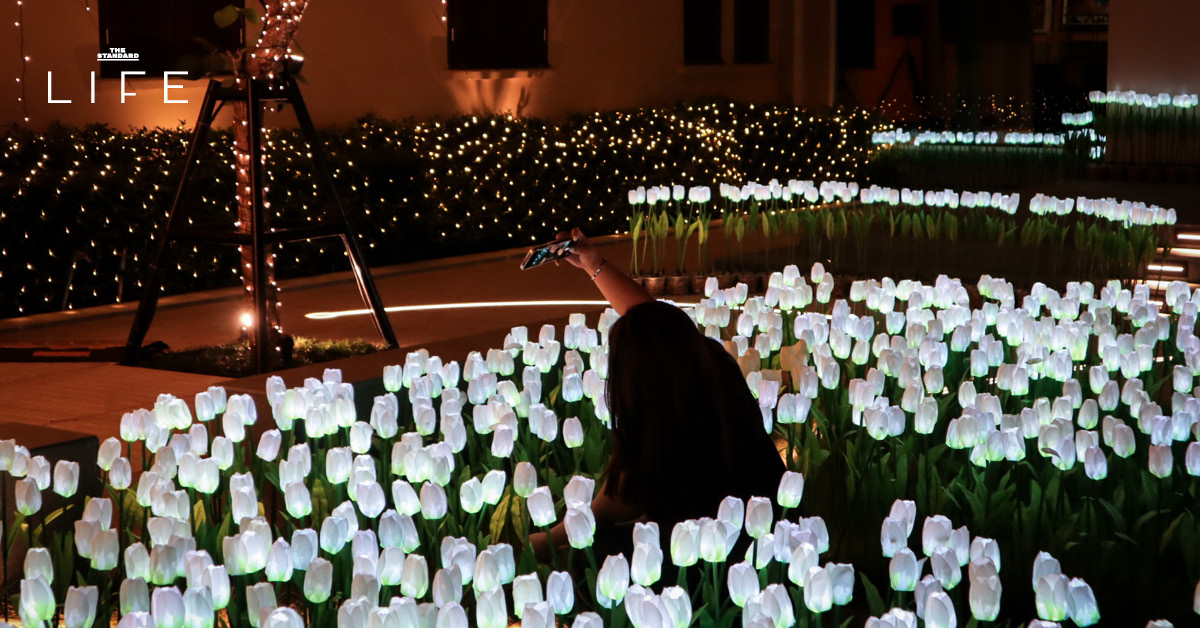 ภาพบรรยากาศงานไฟทุ่งดอกไม้และนิทรรศการแสงสีสุดตระการตาที่ MEA SPARK พิพิธภัณฑ์การไฟฟ้าไทย