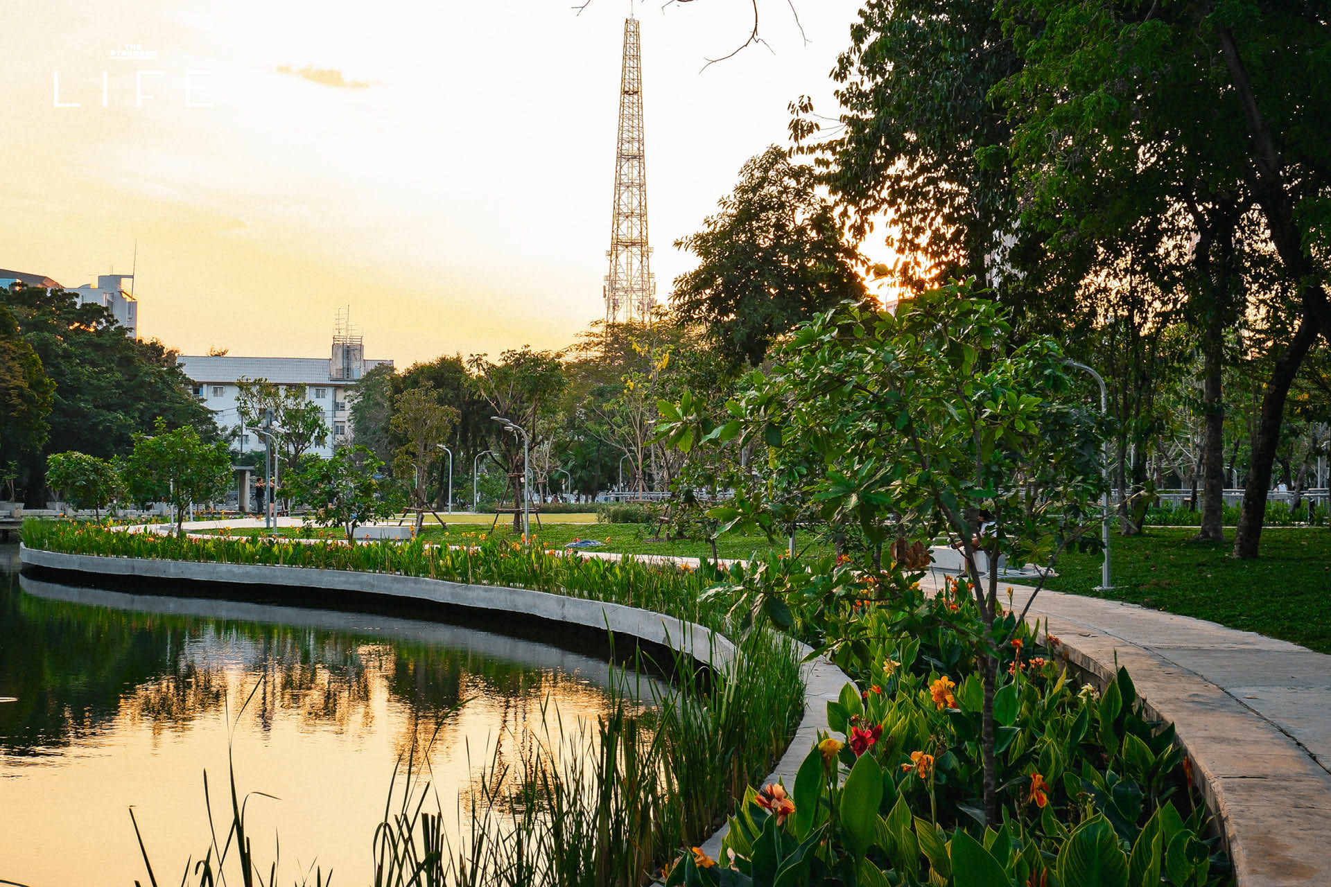ภาพมุมกว้างของสวนเฉลิมพระเกียรติฯ 80 พรรษา (สาทร) โฉมใหม่ ที่เต็มไปด้วยพื้นที่สีเขียว สนามหญ้ากว้าง และพืชพรรณร่มรื่น 1