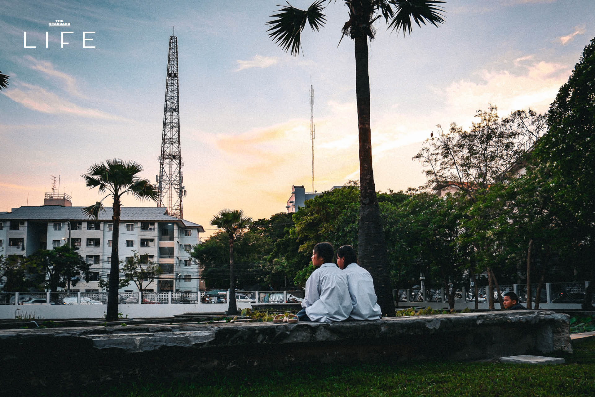 ภาพมุมกว้างของสวนเฉลิมพระเกียรติฯ 80 พรรษา (สาทร) โฉมใหม่ ที่เต็มไปด้วยพื้นที่สีเขียว สนามหญ้ากว้าง และพืชพรรณร่มรื่น 7