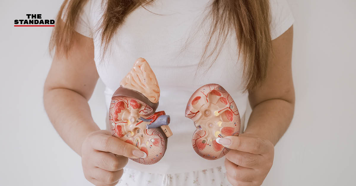 เจ้าหน้าที่ประกันสังคมให้คำแนะนำการใช้สิทธิบำบัดทดแทนไตแก่ผู้ป่วยไตวายเรื้อรัง