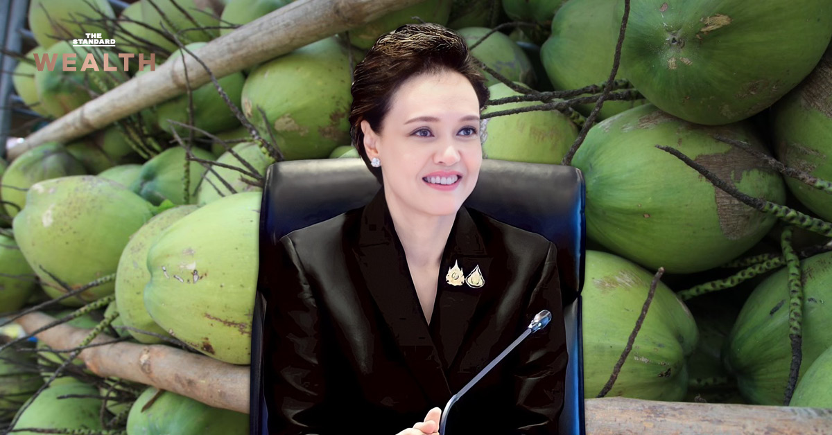 ศุภจี สุธรรมพันธุ์ รัฐมนตรีว่าการกระทรวงพาณิชย์ แถลงมาตรการแก้ปัญหาราคามะพร้าวน้ำหอมตกต่ำ