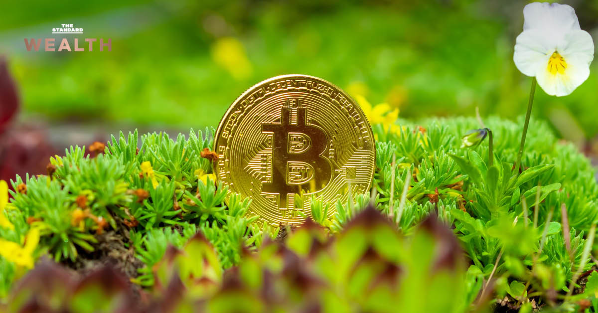 ภาพ บิทคอยน์วางอยู่บนแปลงดอกไม้ พร้อมข้อความ 'เทรด คาร์บอนเครดิต และ คริปโตฯ ในตลาดฟิวเจอร์สได้แล้ว' สื่อถึงการอนุมัติซื้อขายสินทรัพย์ดิจิทัลและคาร์บอนเครดิตในตลาดอนุพันธ์