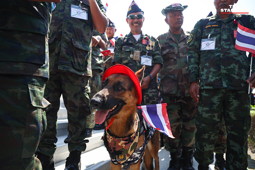 ภาพทหารผ่านศึกเดินขบวนสวนสนามอย่างยิ่งใหญ่ ณ อนุสาวรีย์ชัยสมรภูมิ ในวันทหารผ่านศึก เพื่อรำลึกถึงวีรบุรุษผู้เสียสละ 4