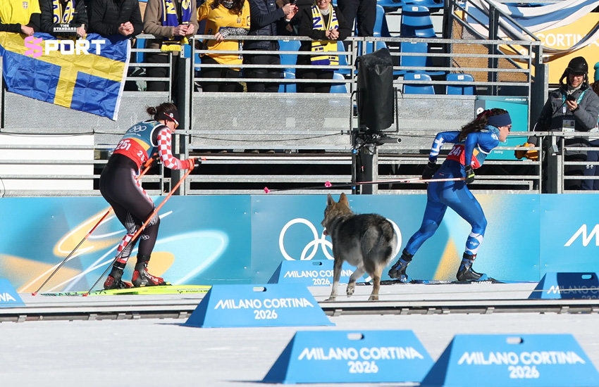 ภาพวูล์ฟด็อกนาซกูลวิ่งตามนักกีฬาสกีครอสคันทรีในโอลิมปิกฤดูหนาว 2026 4