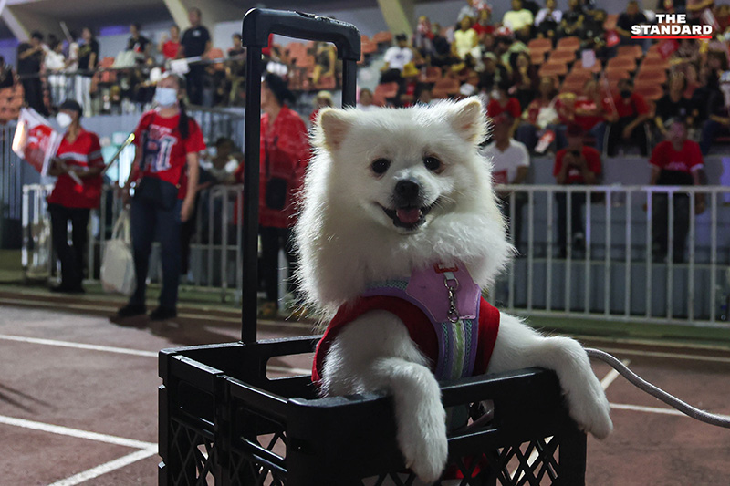 ภาพบรรยากาศ ศ.ดร.ยศชนัน วงศ์สวัสดิ์ แคนดิเดตนายกรัฐมนตรีพรรคเพื่อไทย ปราศรัยบนเวทีใหญ่ท่ามกลางผู้สนับสนุนจำนวนมาก 22