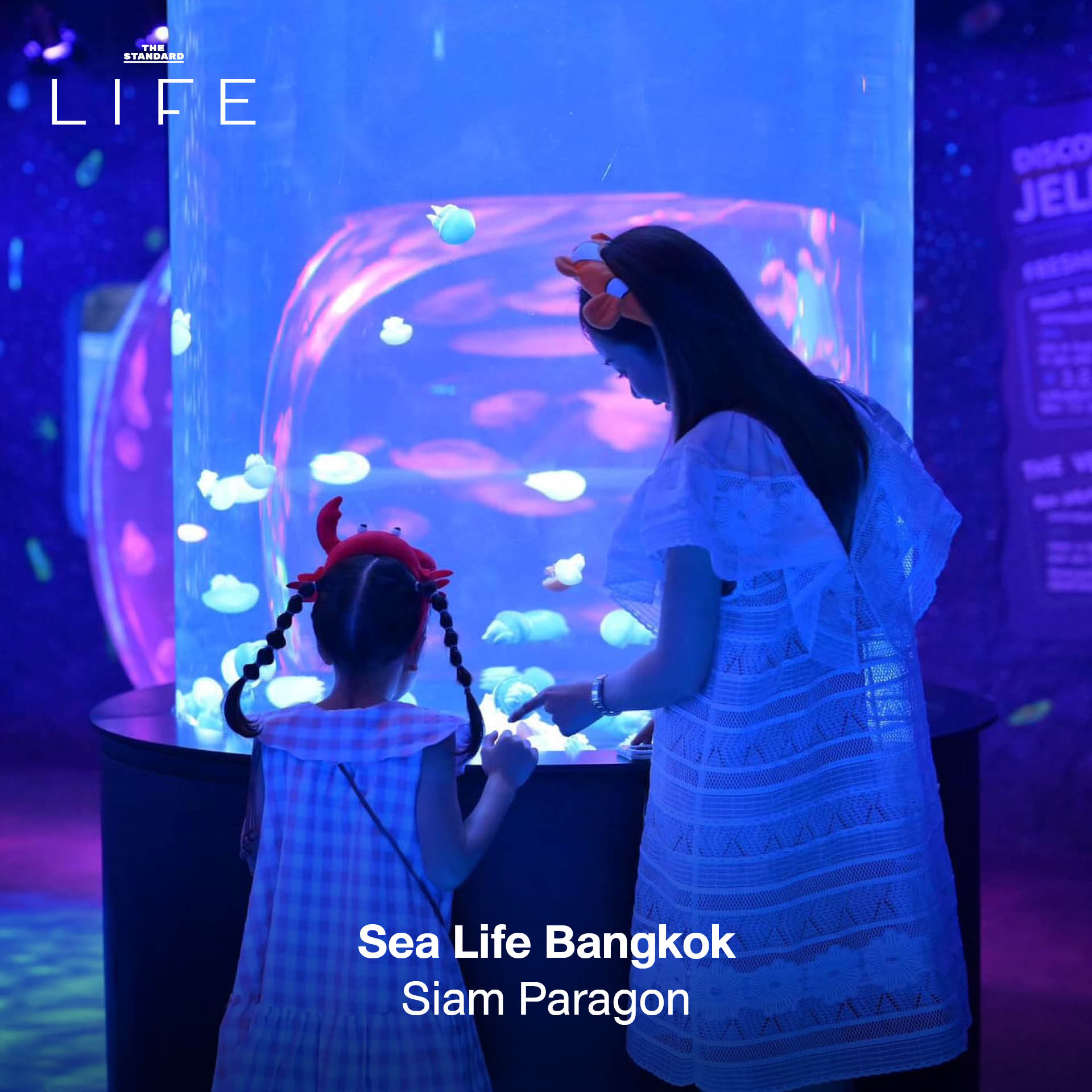 ครอบครัวกำลังเพลิดเพลินกับกิจกรรมหลากหลาย ณ สถานที่แฮงก์เอาต์สำหรับแม่และเด็ก 5