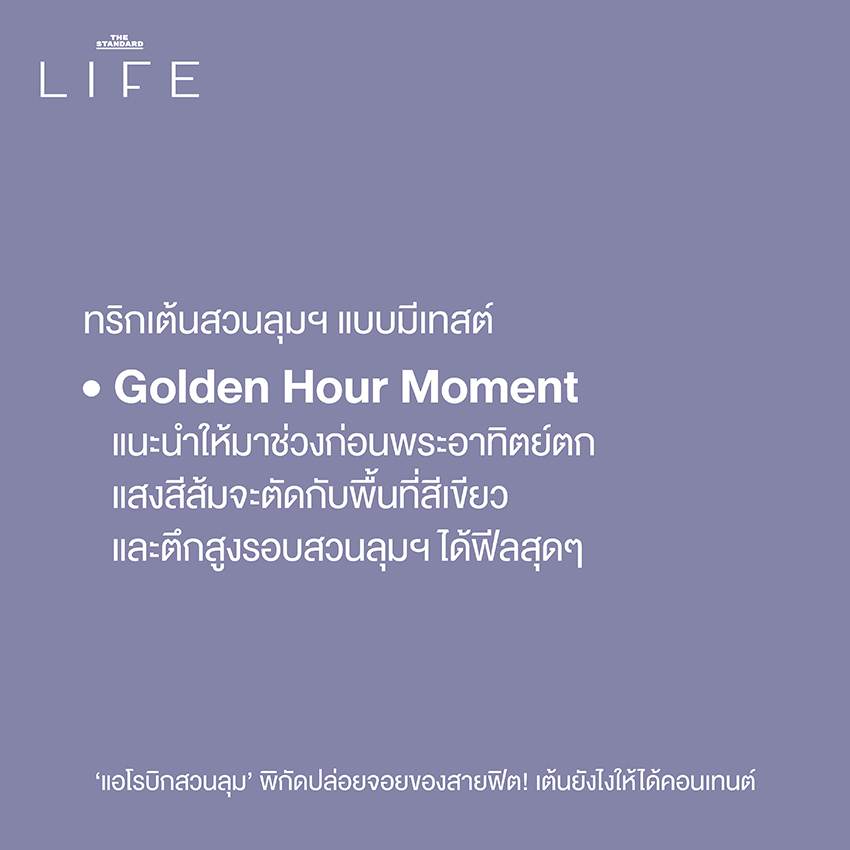 ผู้คนเต้นแอโรบิกอย่างสนุกสนานที่ สวนลุมพินี พร้อมบรรยากาศยามเย็นและแก๊งแมว 8