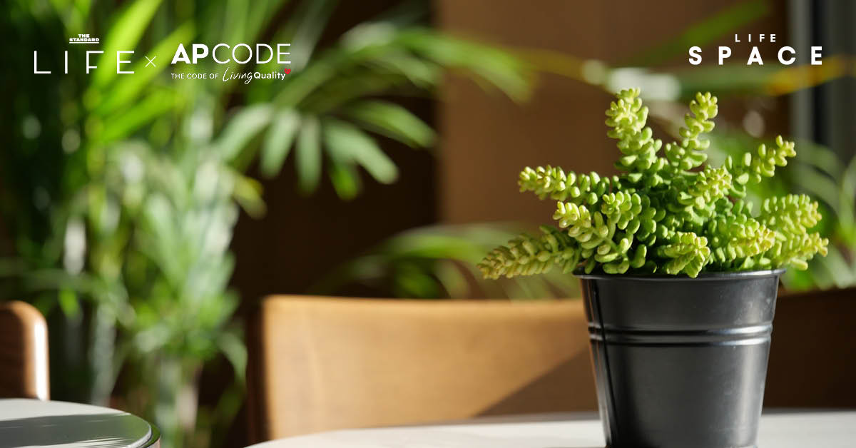 ภาพจำลองพื้นที่สีเขียวในบ้าน หรือสวนส่วนตัวในทาวน์โฮมและคอนโดมิเนียมของ AP