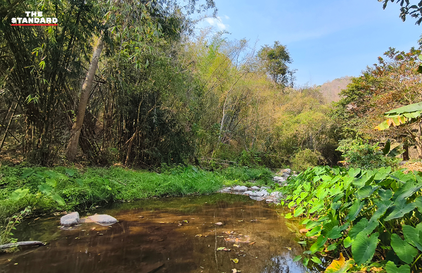 ภาพมุมสูงอ่างเก็บน้ำบ้านไทยประจัน จังหวัดราชบุรี โครงการพระราชดำริเพื่อบริหารจัดการน้ำและเศรษฐกิจชุมชน 4