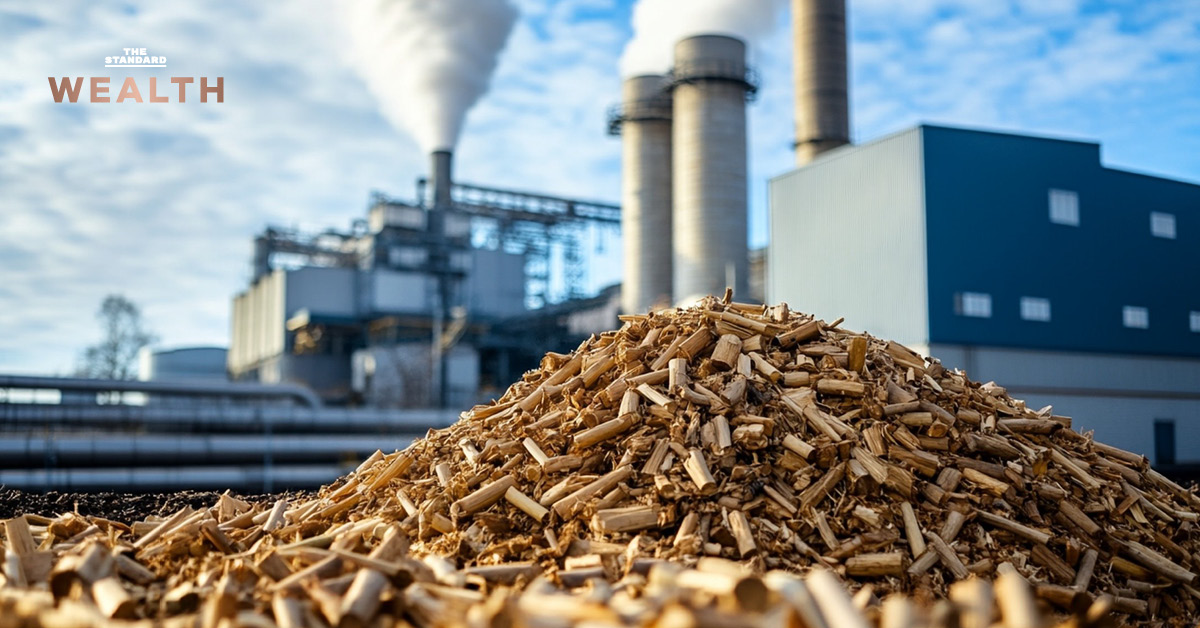 ภาพประกอบแนวคิดการขับเคลื่อน E20 ลดการนำเข้าน้ำมันดิบ โดย 3 สมาคมโรงงานน้ำตาลทราย ชี้ช่วยเกษตรกรชาวไร่อ้อยและสร้างเศรษฐกิจชีวภาพ