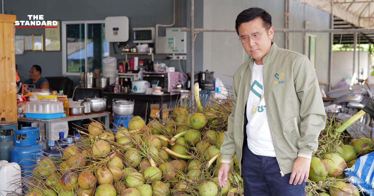 ชัยวุฒิ ธนาคมานุสรณ์ หัวหน้าพรรครักชาติ ลงพื้นที่สำรวจสวนมะพร้าวและรับฟังปัญหาจากเกษตรกร