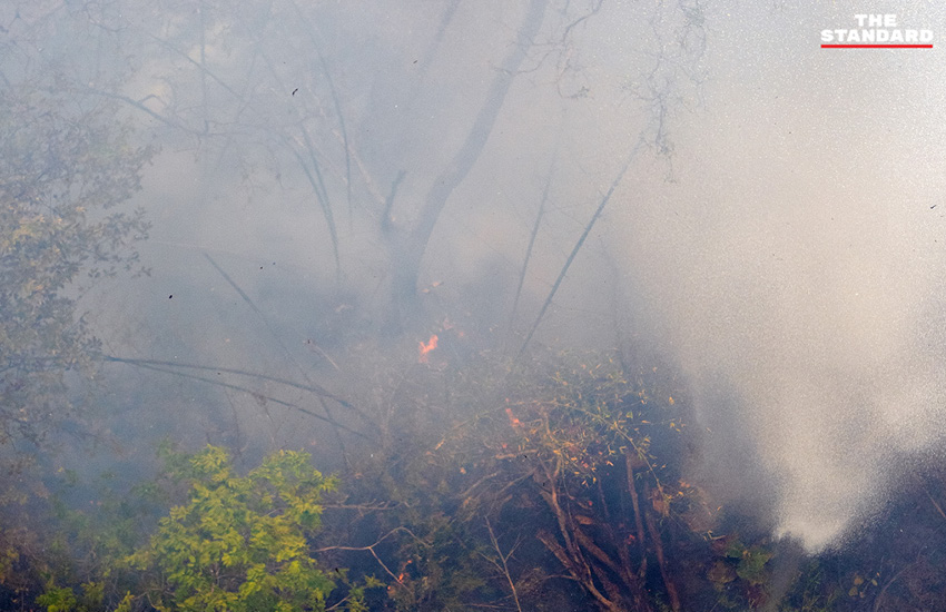 ภาพเฮลิคอปเตอร์ทิ้งน้ำดับไฟป่าบริเวณป่าภูเขาสันคมฟ้า อำเภอแม่วาง จังหวัดเชียงใหม่ เพื่อลดปัญหาฝุ่น PM2.5 8