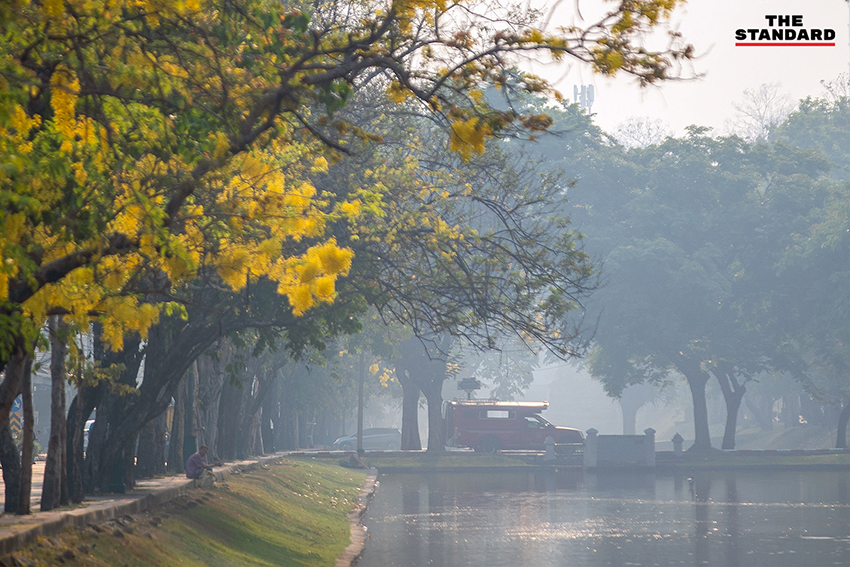 ภาพหมอกควันหนาปกคลุมเมืองเชียงใหม่ จนมองไม่เห็นดอยสุเทพ จากสถานการณ์ฝุ่น PM2.5 ที่วิกฤต 5