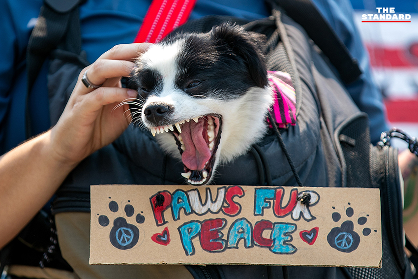 ภาพกลุ่ม CNX4PEACE ชุมนุมถือป้ายต่อต้านสงครามอิหร่าน บริเวณหน้าสถานกงสุลสหรัฐฯ เชียงใหม่ 3