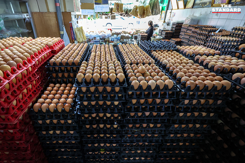 ภาพการสำรวจแผงขายสินค้าในตลาดย่านวงเวียนใหญ่ แสดงถึงราคาสินค้าที่ปรับสูงขึ้นหลังสิ้นสุดมาตรการตรึงราคาน้ำมัน 8