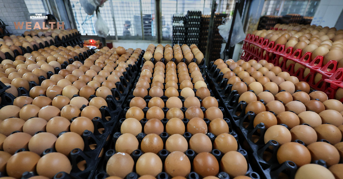 ภาพประกอบแสดงกลไกการทำงานของ Egg Board ในการบริหารจัดการอุปทานไข่ไก่ เพื่อสร้างสมดุลระหว่างเสถียรภาพและค่าครองชีพ