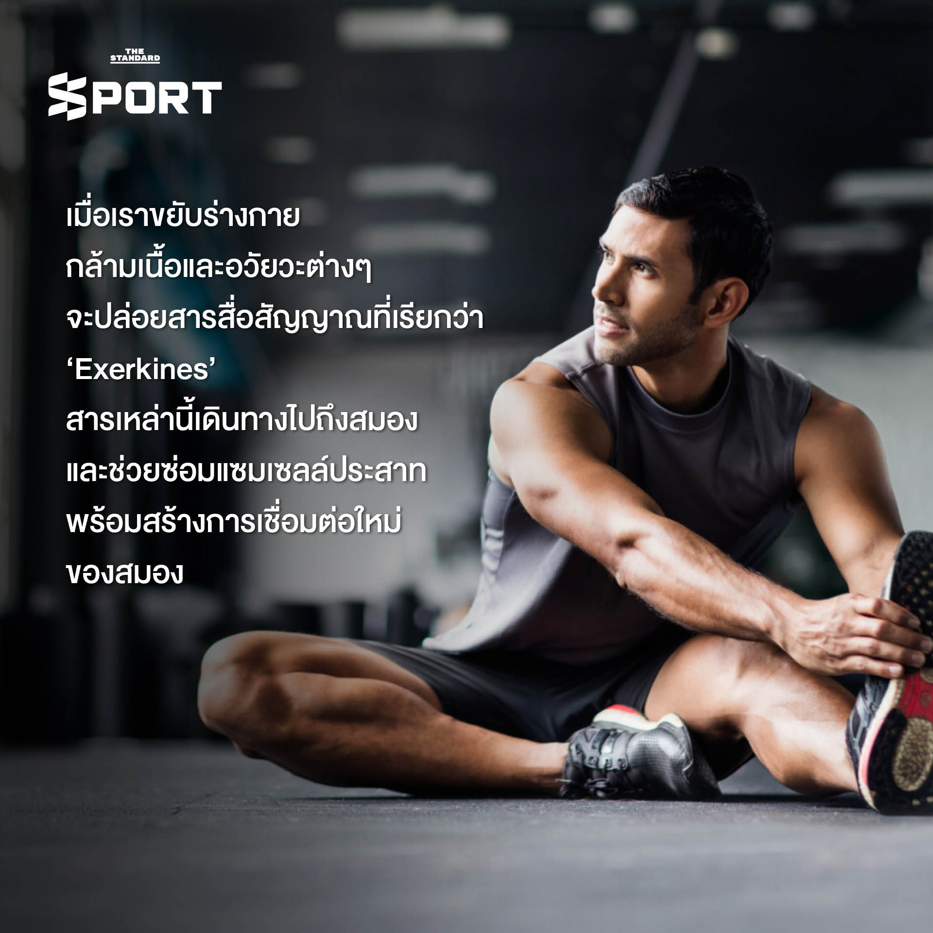 ภาพประกอบคนออกกำลังกายหลากหลายรูปแบบ แสดงถึงประโยชน์ต่อสุขภาพสมองและร่างกาย 2