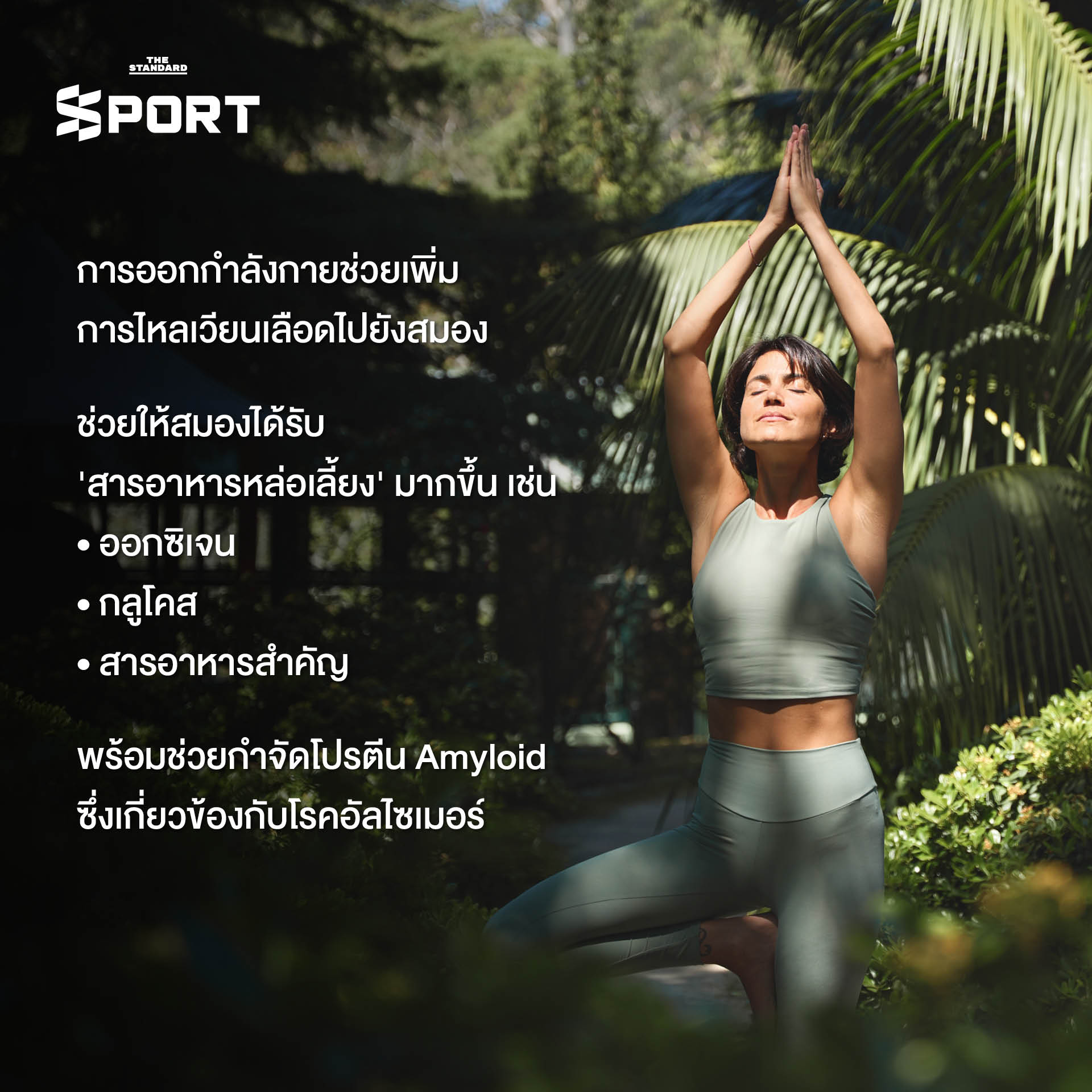 ภาพประกอบคนออกกำลังกายหลากหลายรูปแบบ แสดงถึงประโยชน์ต่อสุขภาพสมองและร่างกาย 3