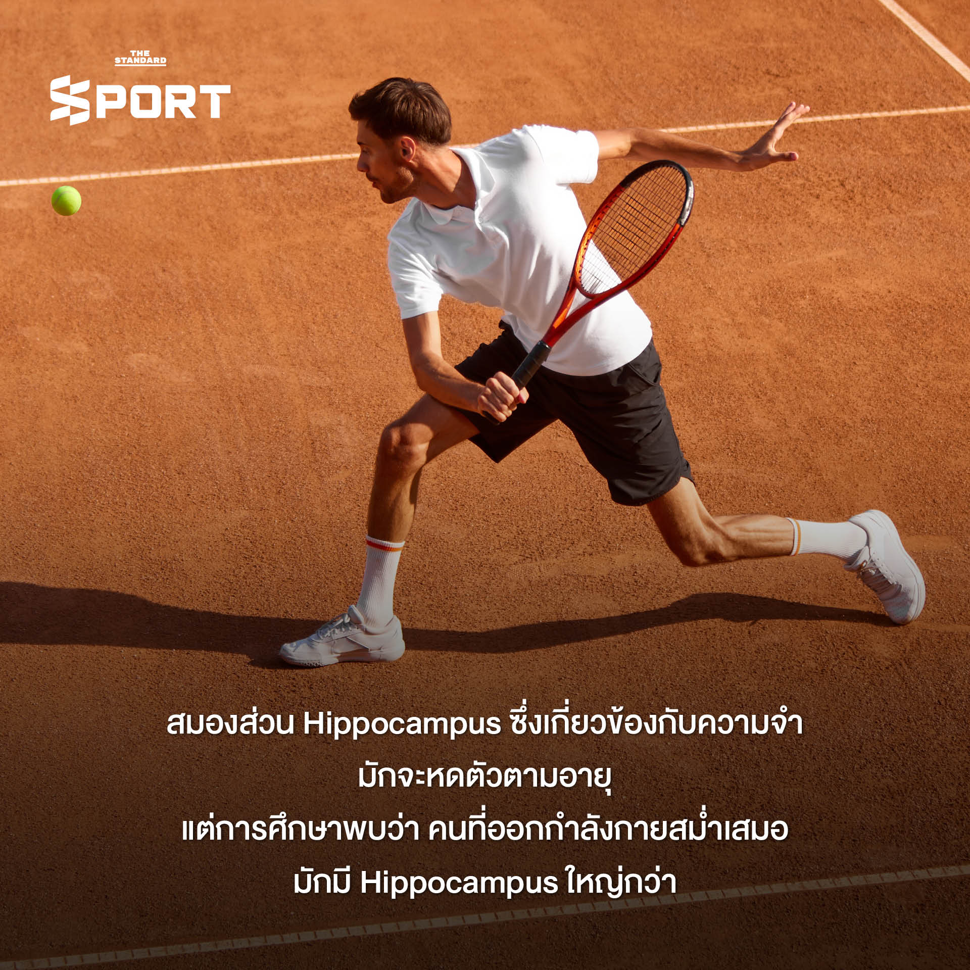 ภาพประกอบคนออกกำลังกายหลากหลายรูปแบบ แสดงถึงประโยชน์ต่อสุขภาพสมองและร่างกาย 4