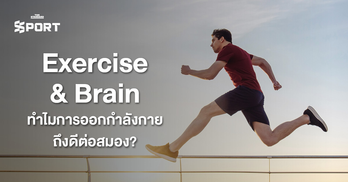 ภาพประกอบคนออกกำลังกายหลากหลายรูปแบบ แสดงถึงประโยชน์ต่อสุขภาพสมองและร่างกาย