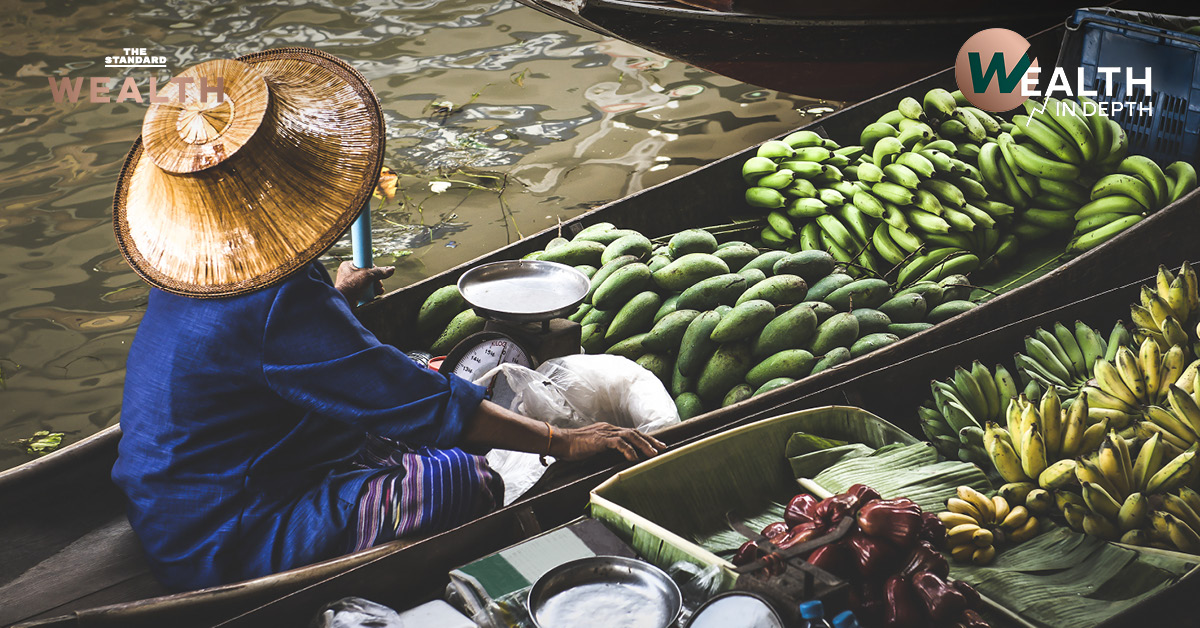 ภาพตลาดน้ำดำเนินสะดวก พร้อมข้อความบนภาพและโลโก้ WEALTH IN DEPTH สื่อถึงวิกฤตปุ๋ยเคมีขาดแคลนและผลกระทบต่อความมั่นคงทางอาหารไทย